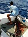 DSC00178_17.JPG